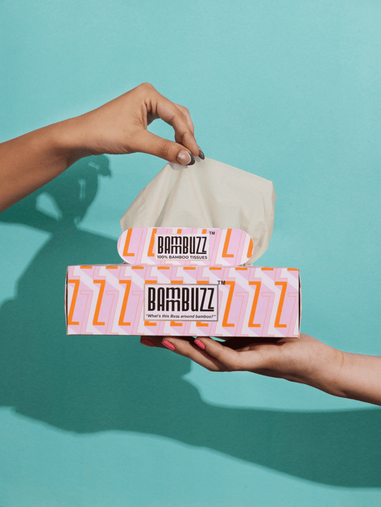 Hand holding a box of BammBuzz bamboo facial tissue against a teal background