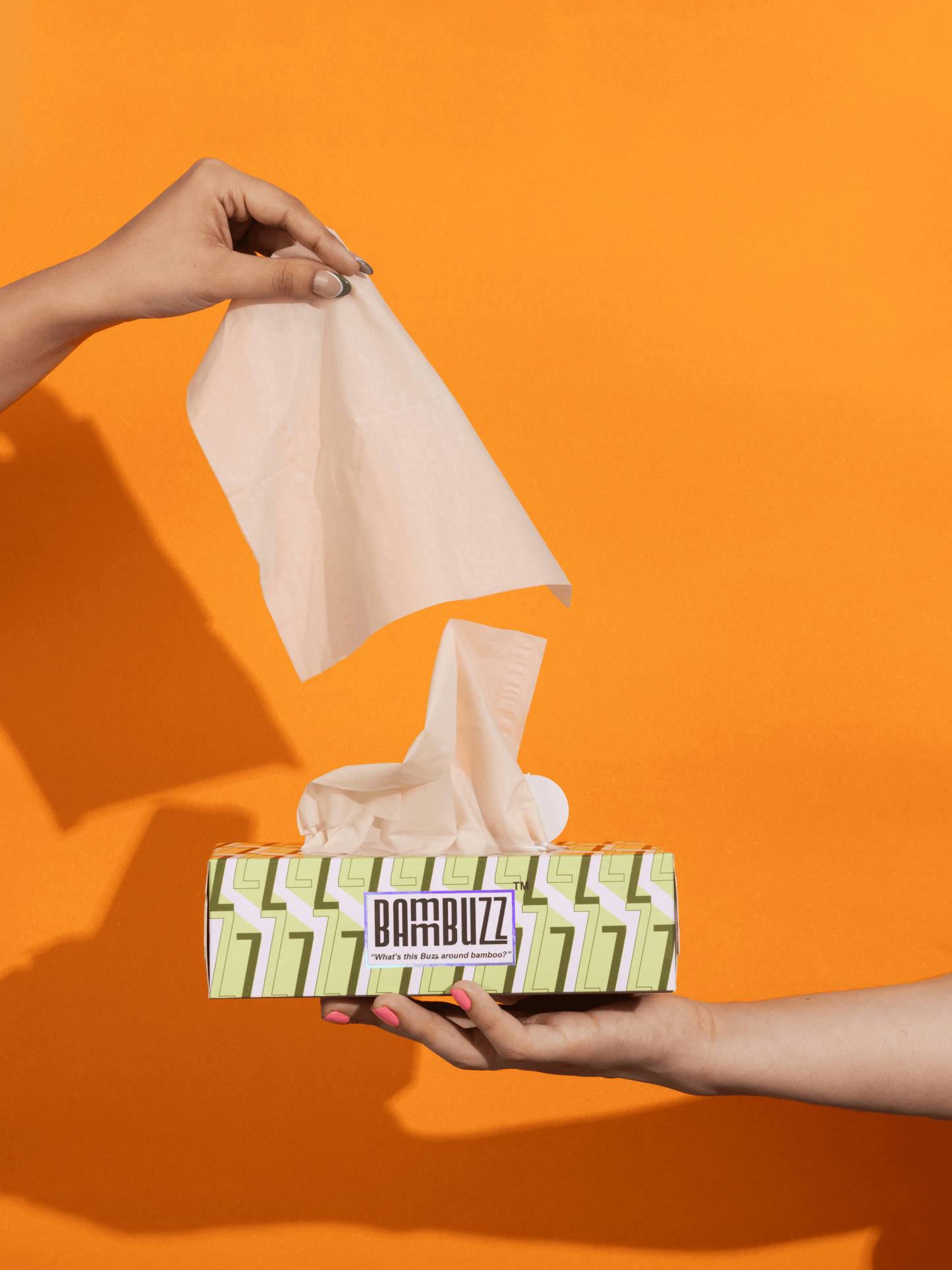 Bamboo Facial Tissue (Pack of 4)