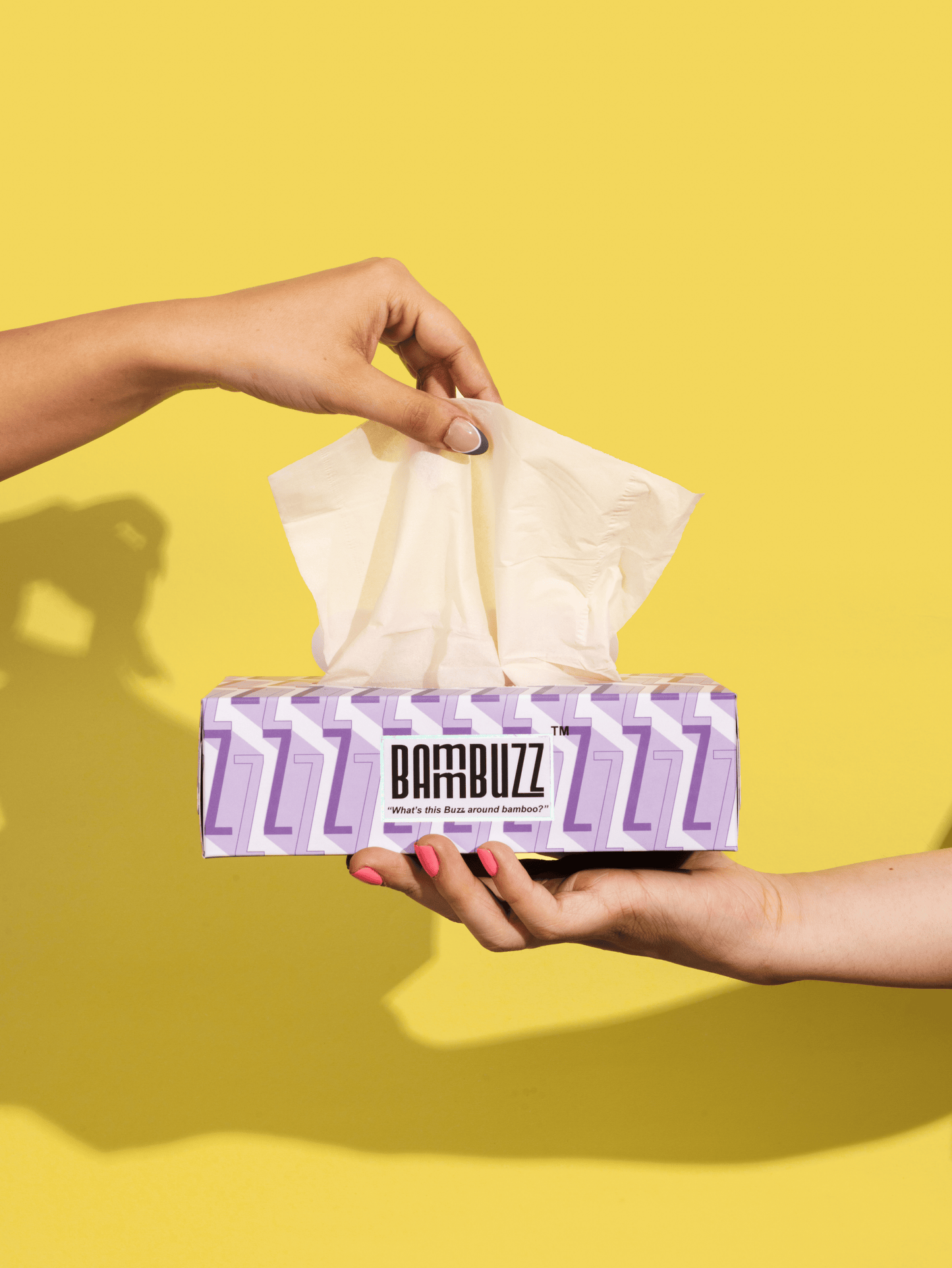 Bamboo Facial Tissue (Pack of 4)