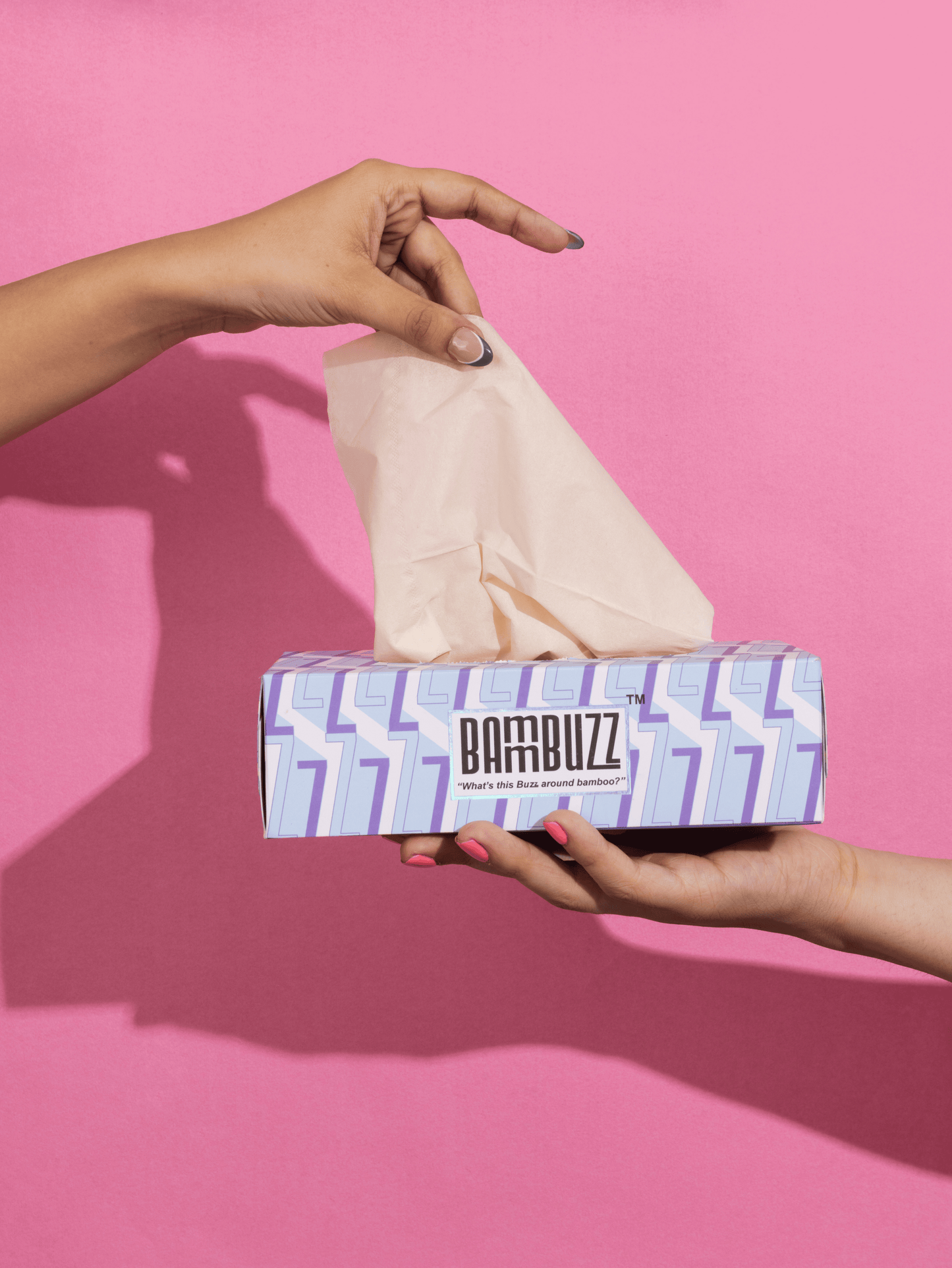 Bamboo Facial Tissue (Pack of 4)